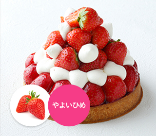 苺のタルト